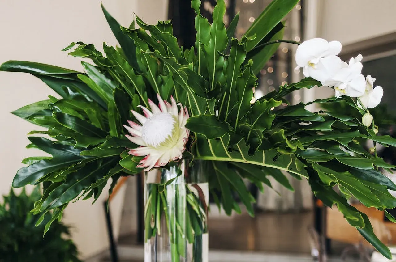 Josh Knight: Finding Peace Through Flowers
